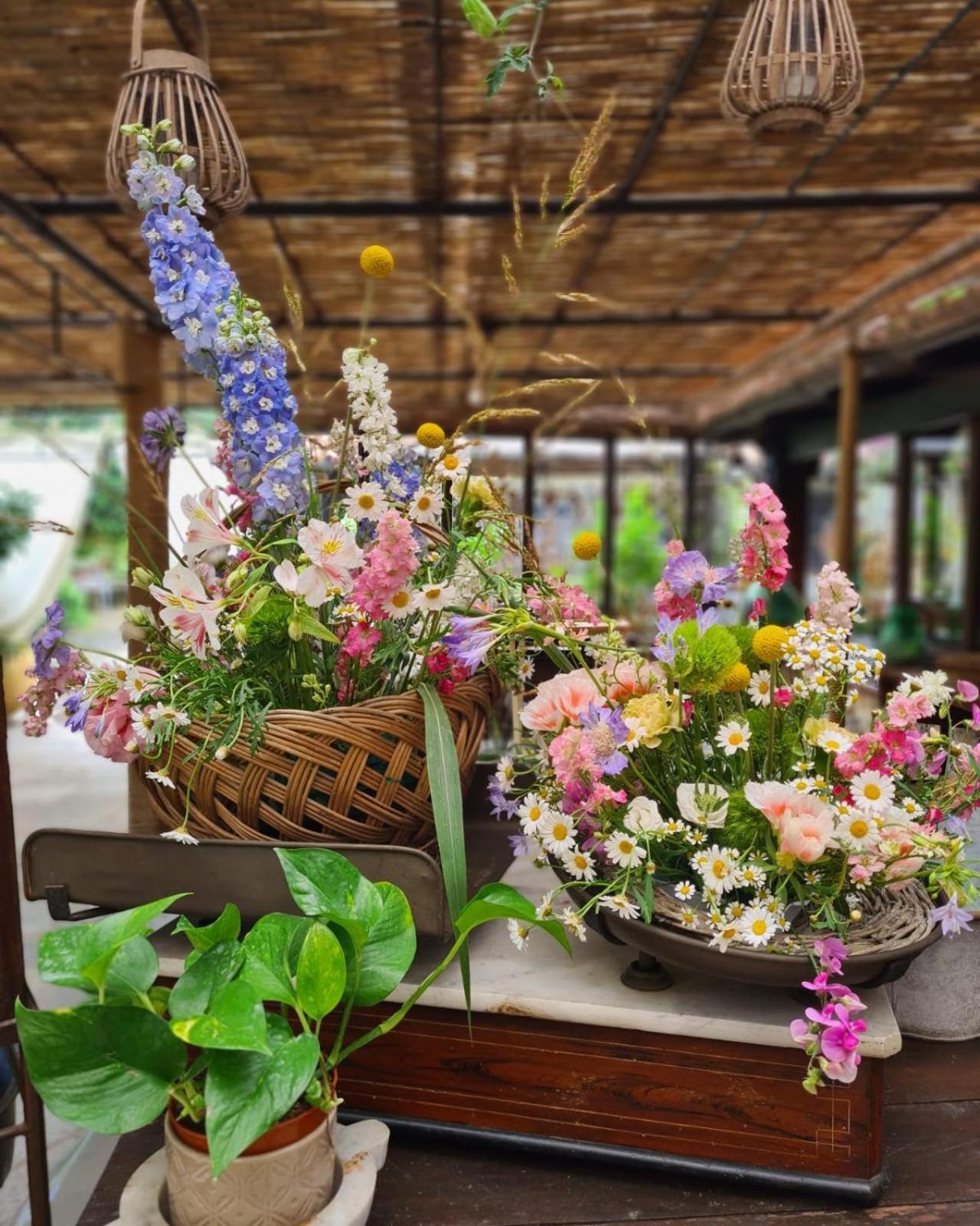 Couette-café Ca' Datu